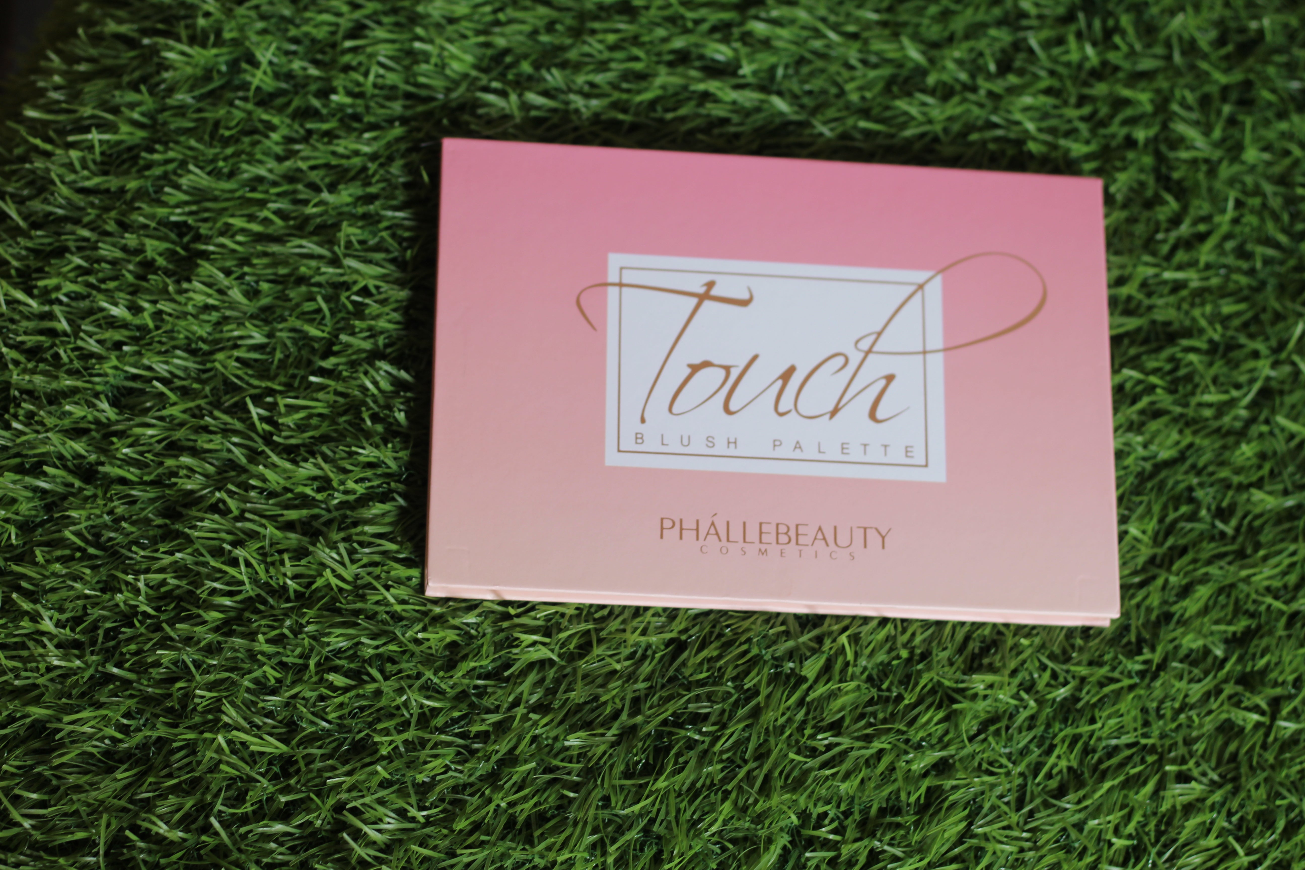 NUDE BLUSH ON PALETTE MAKEUP KIT