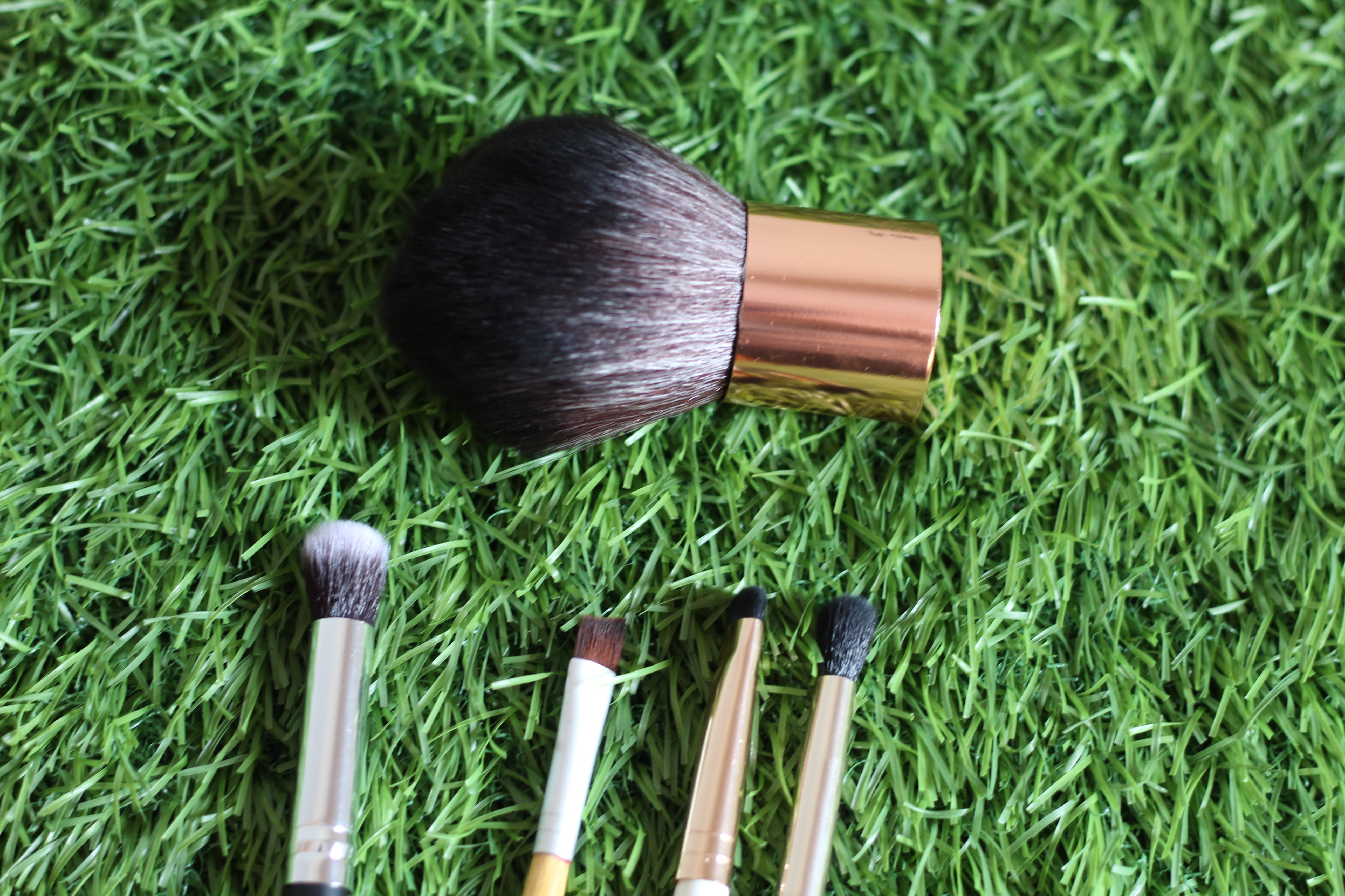 FIVE EYE SHADOW MAKE-UP PLUS PUFF BRUSHES SET